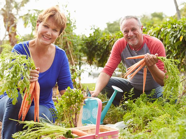 Imagen de Odoo y bloque de texto